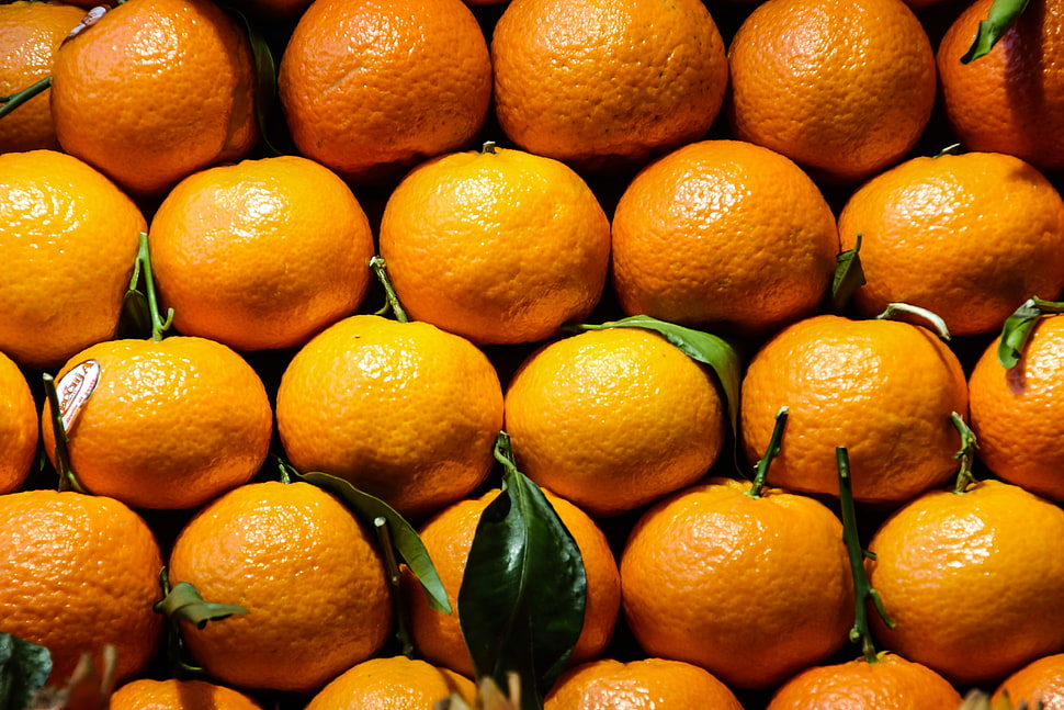 orange fruits, Tangerine, Citrus, Fruit HD wallpaper