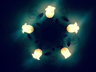 black and white uplight chandelier, wall, rose, lamp, artificial lights HD wallpaper