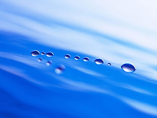closeup photography of teardrop HD wallpaper