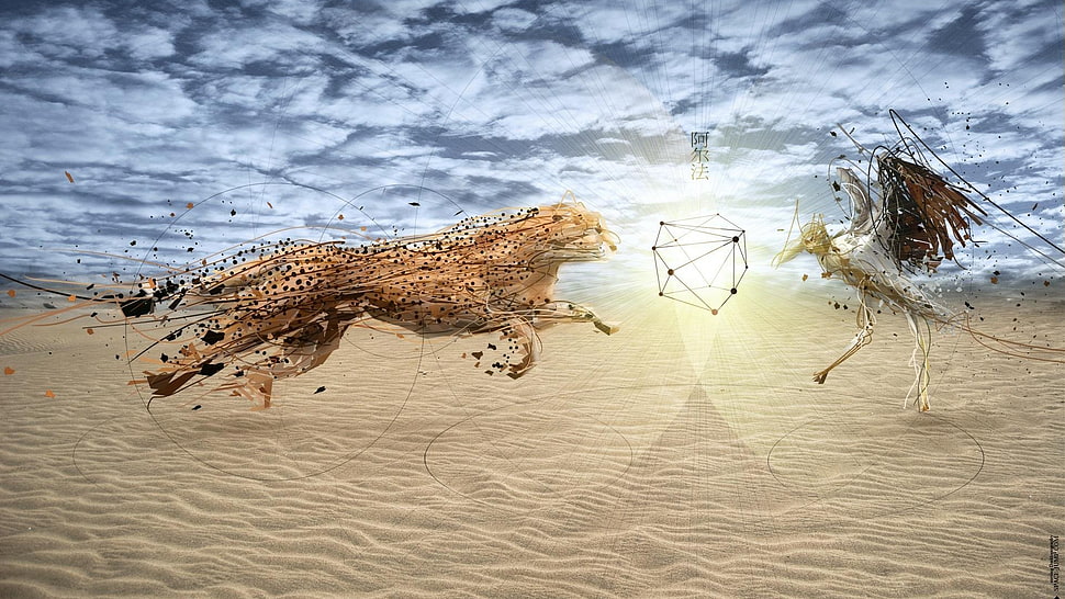 wireframe, cheetahs, birds, animals HD wallpaper