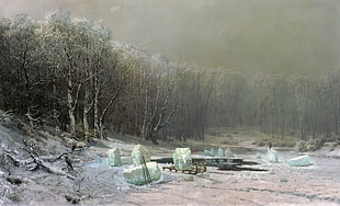 Snow field near on dead forest during winter HD wallpaper
