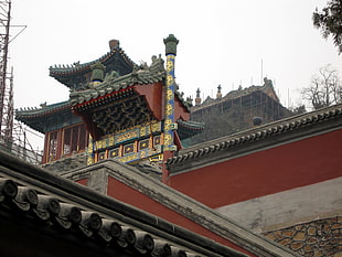 Temple in low-angle photography