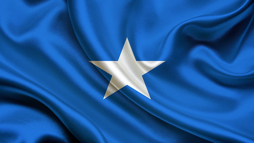 white and blue star print textile HD wallpaper