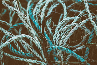 blue ropes