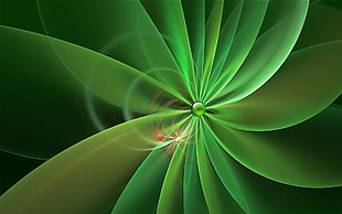 green fan digital wallpaper