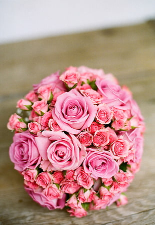 pink Roses pomander bouquet HD wallpaper