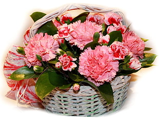 basket of pink petaled flowers