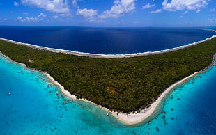 island photo, island, sea, landscape, Tuamotu HD wallpaper
