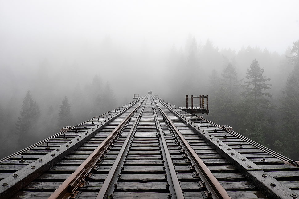 train rail and fog photo HD wallpaper