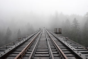 train rail and fog photo