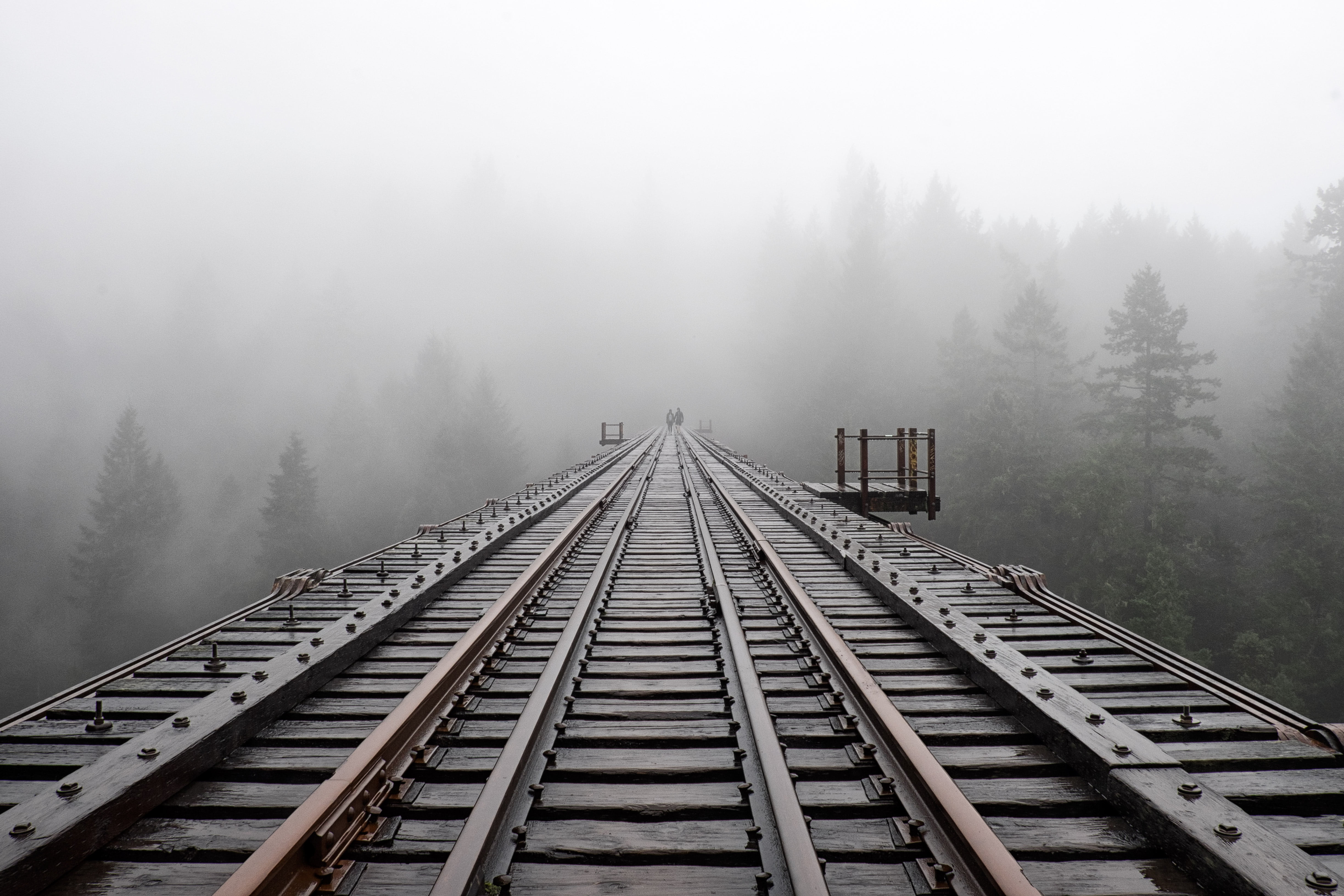 train rail and fog photo