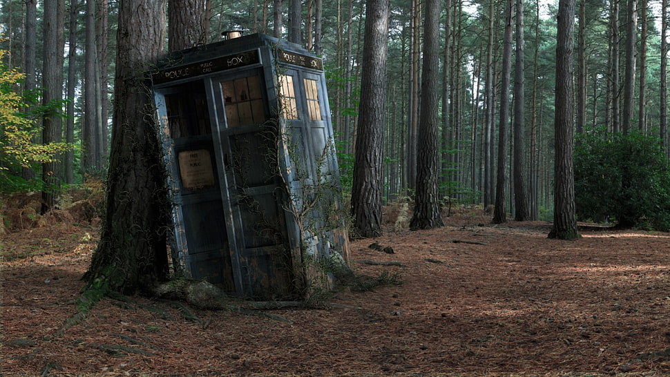 gray wooden cabinet, Doctor Who, TARDIS, wood, decay HD wallpaper