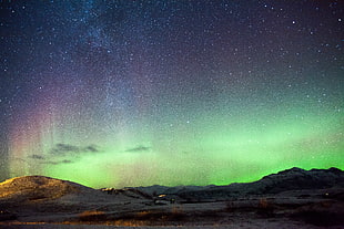 green and red aurora lights