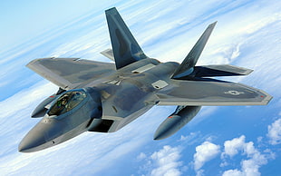 gray fighter plane, F-22 Raptor, military aircraft, aircraft, US Air Force HD wallpaper
