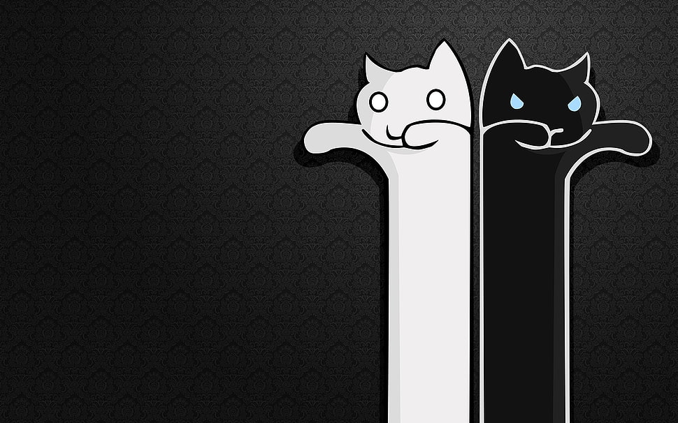 two black and white cat clip cart HD wallpaper