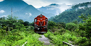 photo of steam locomotive train near trees toward railway during day time HD wallpaper