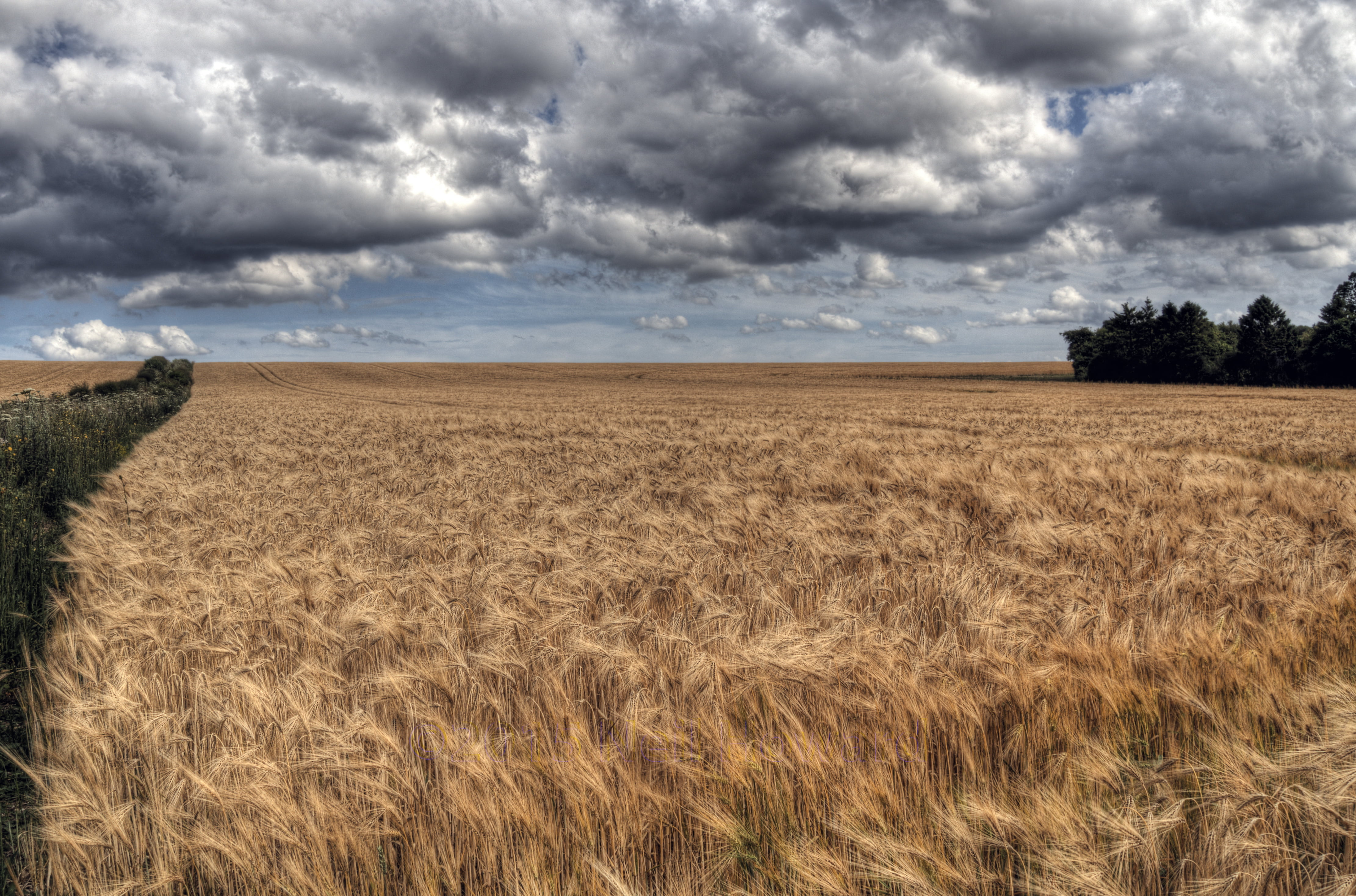Поле value. Коричневое поле. Пшеничное поле пасмурное. Коричневое поле природа. Пшеница и небо пасмурное.