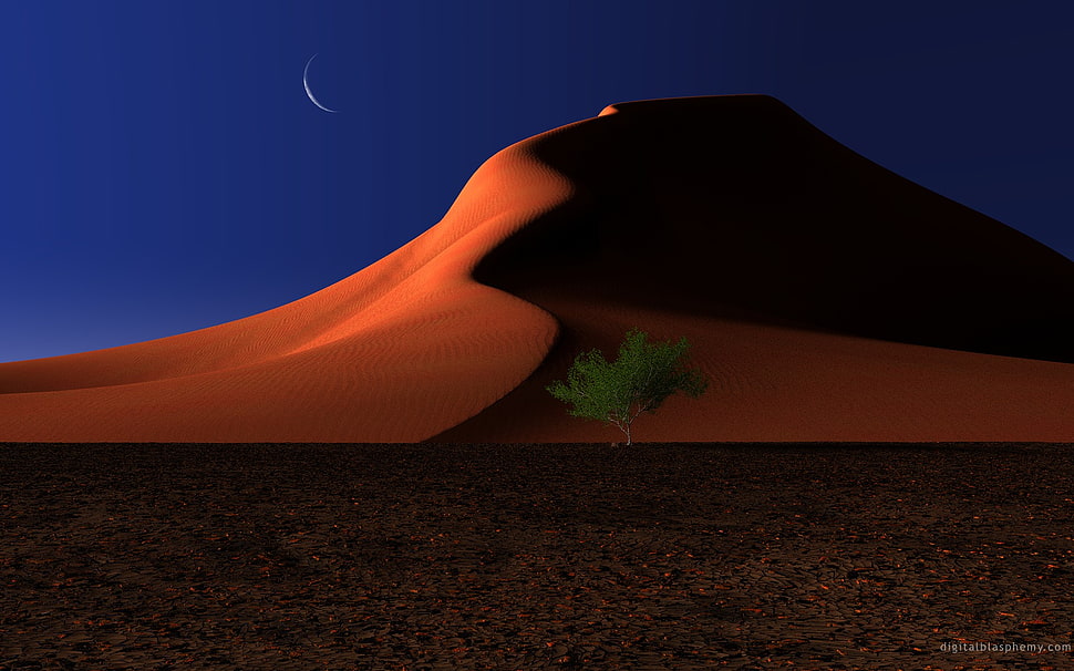 red and black plastic bed frame, desert, Moon, night, trees HD wallpaper