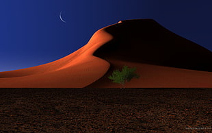 red and black plastic bed frame, desert, Moon, night, trees
