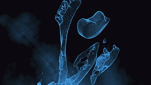 microscopic bone, blue