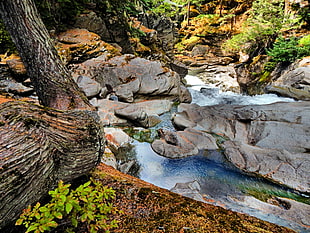 water flowing on rock formation in forest, white river