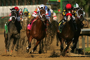 jockey on horses racing during daytime HD wallpaper