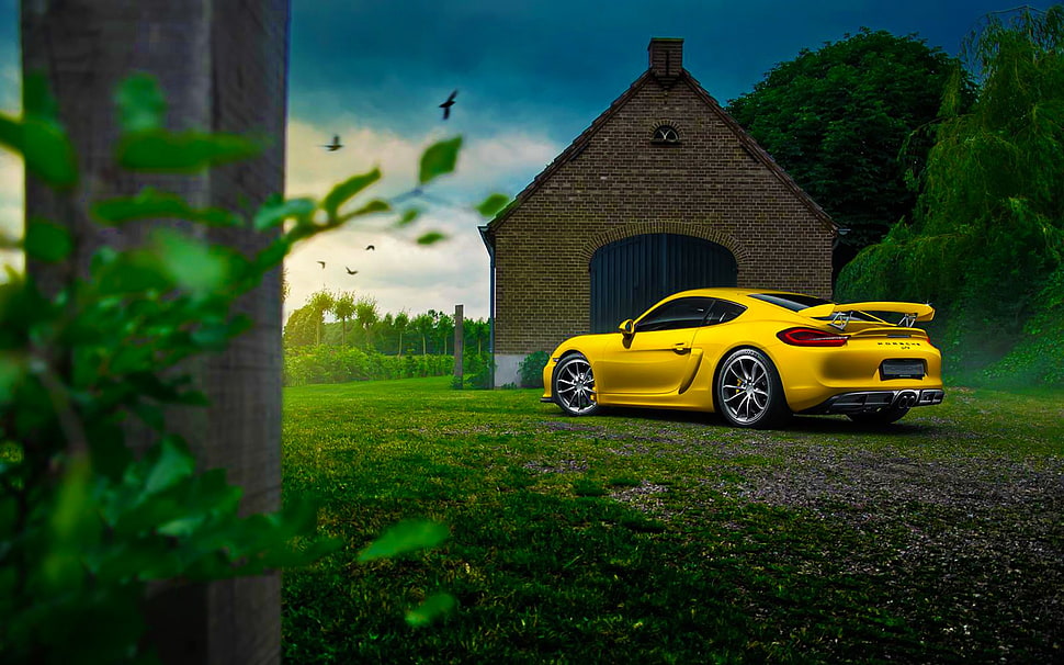 yellow sports coupe, car, Porsche, vehicle, yellow cars HD wallpaper