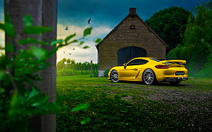 yellow sports coupe, car, Porsche, vehicle, yellow cars