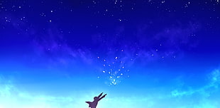 silhouette of person under blue sky wallpaper, Kanbara Akihito, Kyoukai no Kanata HD wallpaper