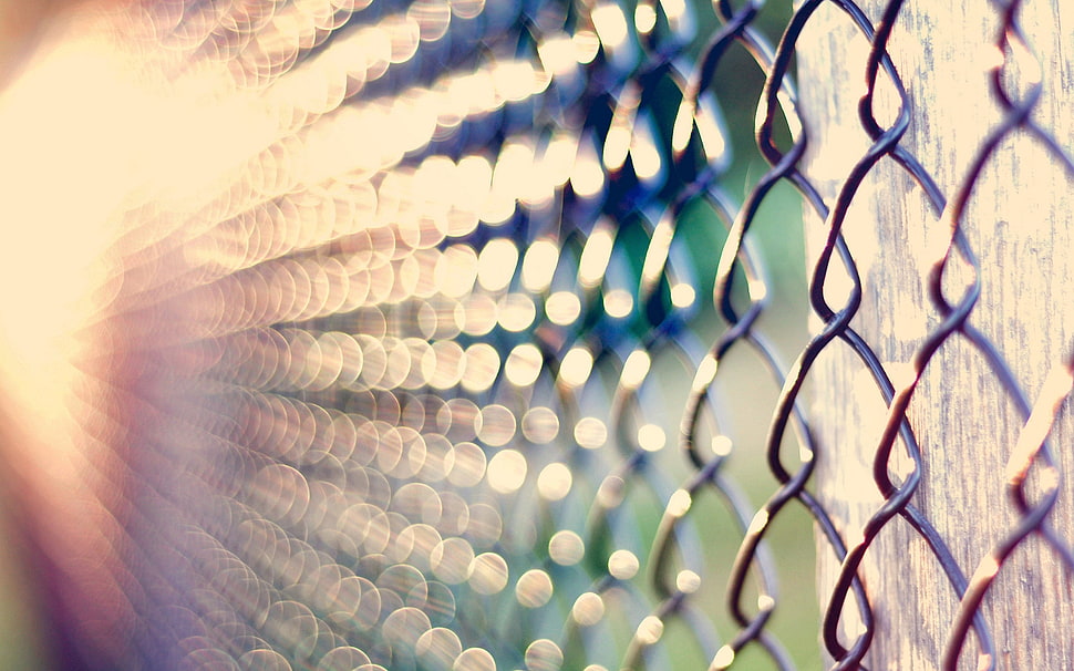 close up photography of grey chain link wire fence HD wallpaper