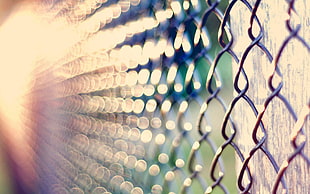 close up photography of grey chain link wire fence
