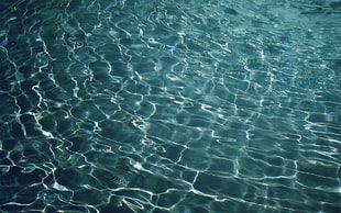 clear water, sea, water, clear water HD wallpaper