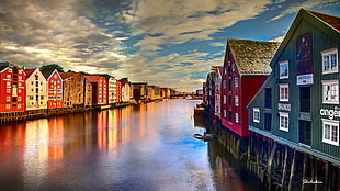 river in the middle of wooden houses during daytime, trondheim, norway