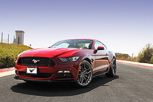 red Ford Mustang parked on asphalt road during daytime HD wallpaper
