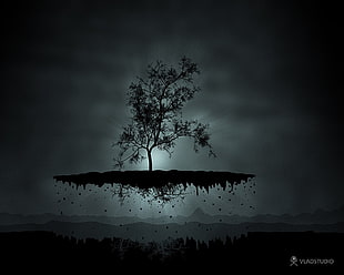 black and white trees painting, trees, floating, spooky