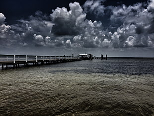 photo of sea dock under nimbus clouds