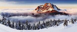 brown and white snow-covered mountain, nature