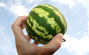 person holding water melon