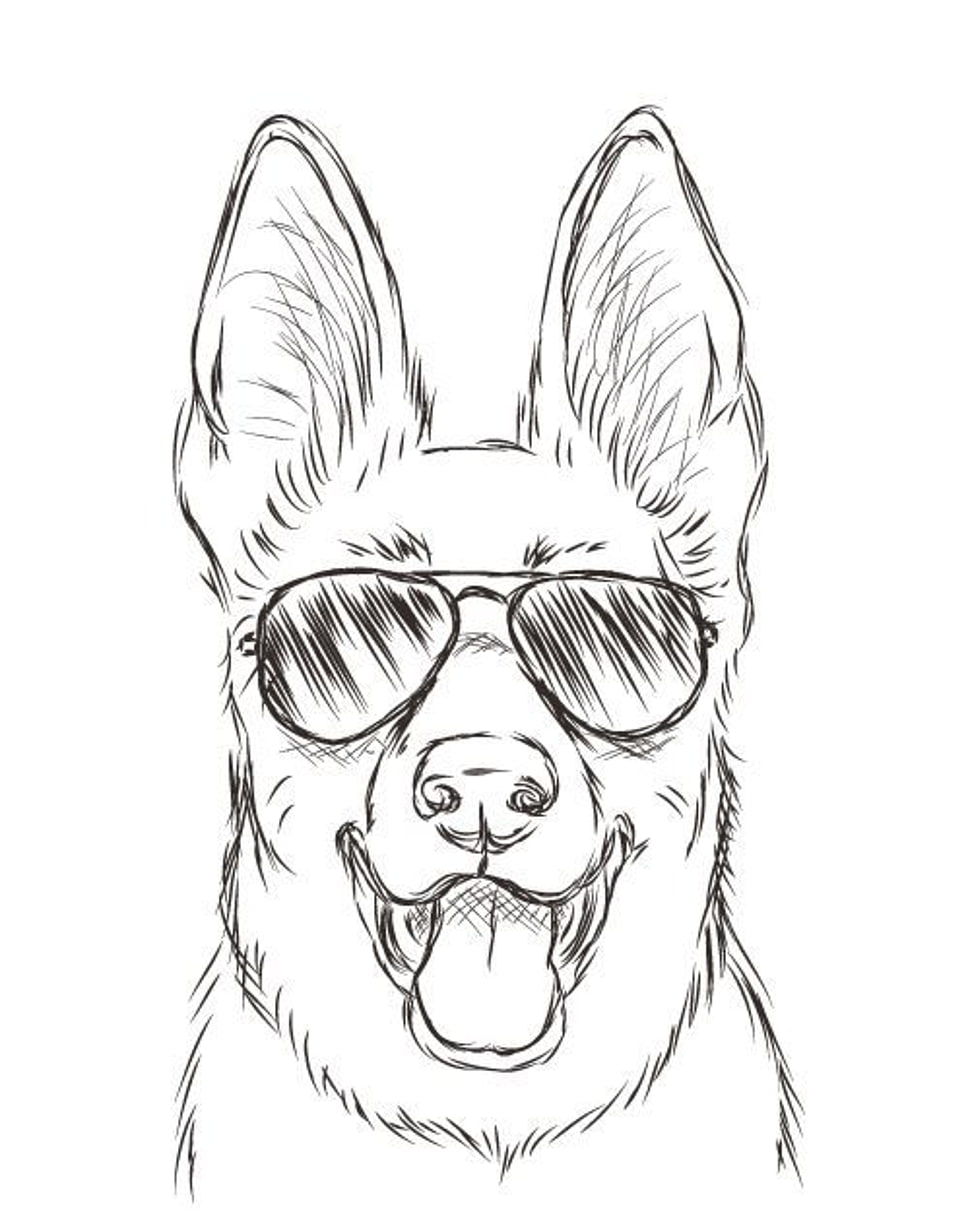 sketch of dog face wearing aviator sunglasses HD wallpaper