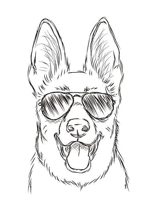 sketch of dog face wearing aviator sunglasses