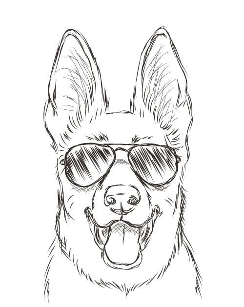 sketch of dog face wearing aviator sunglasses