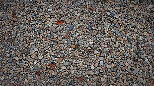 gray and brown pebbles HD wallpaper