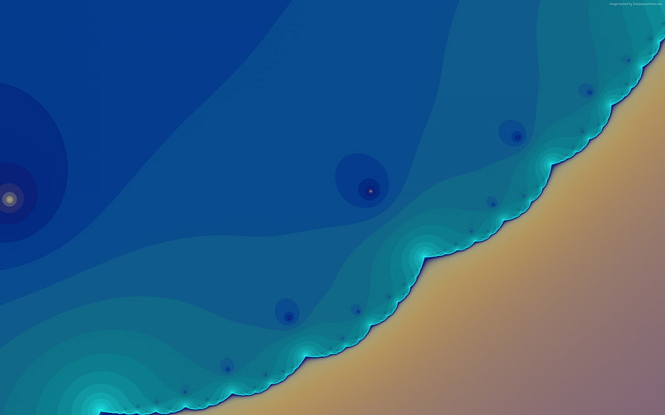 sea shote illustration HD wallpaper