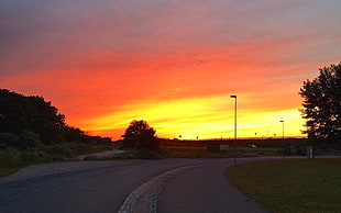 green trees, sunset, clouds, nature, sky