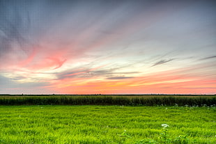 panoramic photography of green fields during sunset HD wallpaper