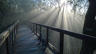black BMX bike in bridge near several trees