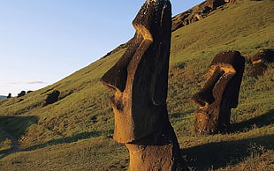 Moai Statue, Western Island