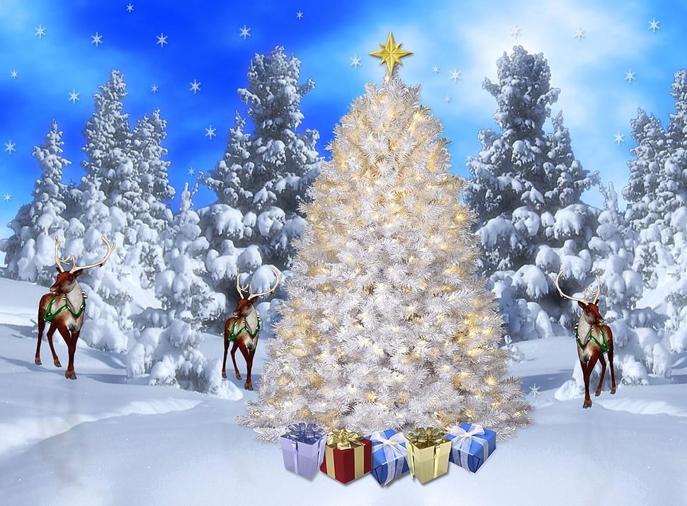 several assorted-color gift boxes in front of white Christmas tree HD wallpaper