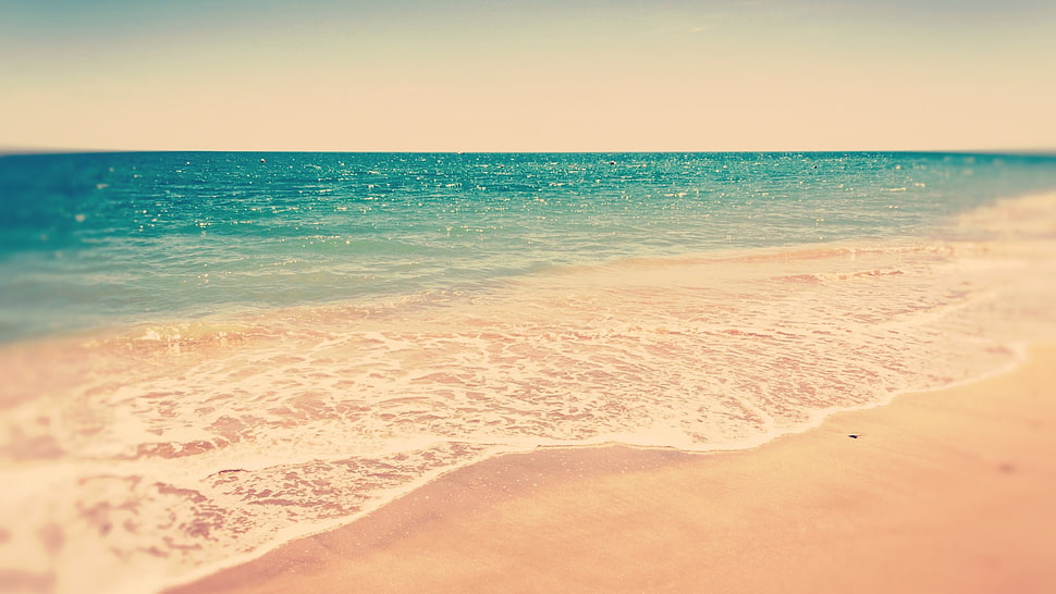 beach shore, landscape, beach HD wallpaper
