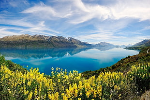 landscape photography of lake surrounded by mountains